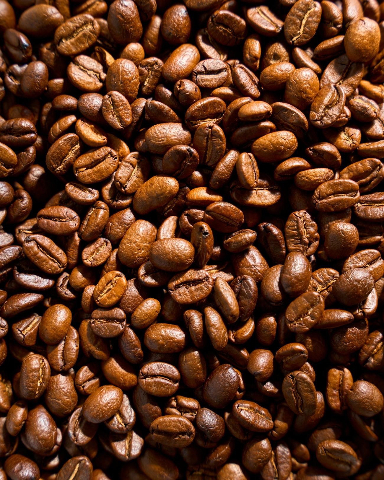 Granos de café tostado con luz cálida